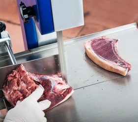 List tračne žage za kosti in meso