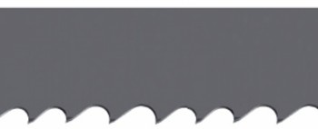 List tračne žage M51 -  PROFESOR PLUS